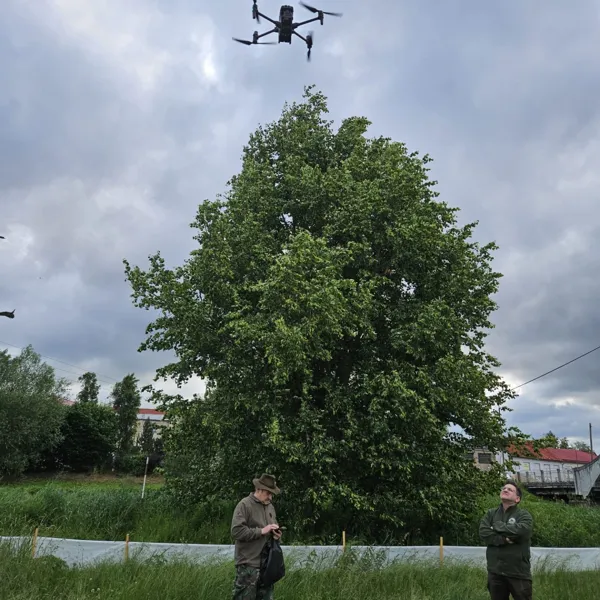 Dron nad loukou při vyhledávání srnčat